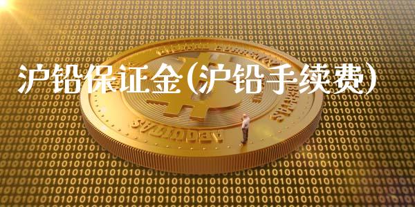 沪铅保证金(沪铅手续费)_https://www.lvsezhuji.com_EIA直播喊单_第1张