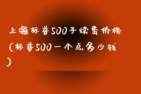 上海标普500手续费价格(标普500一个点多少钱)_https://www.lvsezhuji.com_恒指直播喊单_第1张