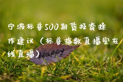 宁波标普500期货投资操作建议（标普指数直播室在线直播）_https://www.lvsezhuji.com_原油直播喊单_第1张