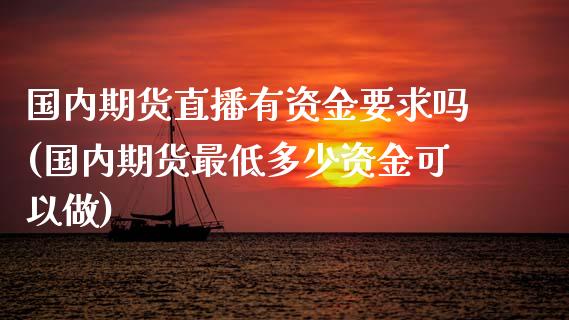 国内期货直播有资金要求吗(国内期货最低多少资金可以做)_https://www.lvsezhuji.com_期货喊单_第1张