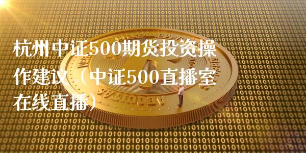 杭州中证500期货投资操作建议（中证500直播室在线直播）_https://www.lvsezhuji.com_国际期货直播喊单_第1张