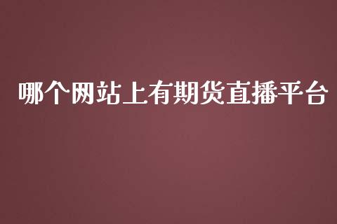 哪个网站上有期货直播平台_https://www.lvsezhuji.com_原油直播喊单_第1张