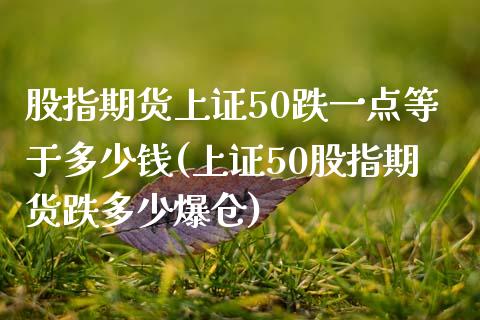 股指期货上证50跌一点等于多少钱(上证50股指期货跌多少爆仓)_https://www.lvsezhuji.com_黄金直播喊单_第1张