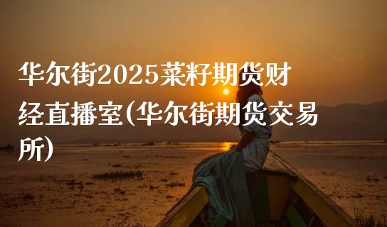 华尔街2025菜籽期货财经直播室(华尔街期货交易所)_https://www.lvsezhuji.com_原油直播喊单_第1张