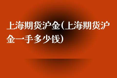 上海期货沪金(上海期货沪金一手多少钱)_https://www.lvsezhuji.com_期货喊单_第1张