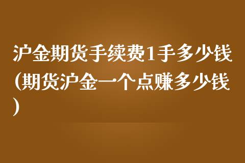 沪金期货手续费1手多少钱(期货沪金一个点赚多少钱)_https://www.lvsezhuji.com_期货喊单_第1张