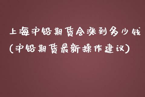 上海沪铅期货会涨到多少钱(沪铅期货最新操作建议)_https://www.lvsezhuji.com_期货喊单_第1张