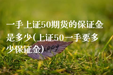 一手上证50期货的保证金是多少(上证50一手要多少保证金)_https://www.lvsezhuji.com_非农直播喊单_第1张