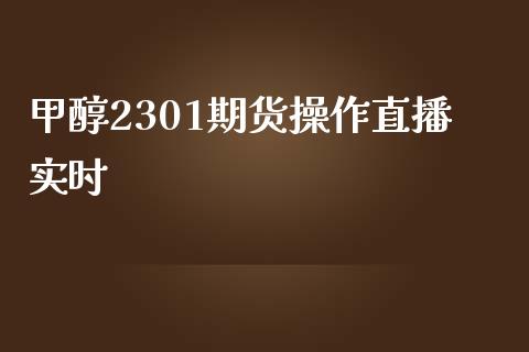 甲醇2301期货操作直播实时_https://www.lvsezhuji.com_原油直播喊单_第1张