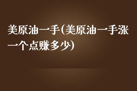 美原油一手(美原油一手涨一个点赚多少)_https://www.lvsezhuji.com_原油直播喊单_第1张