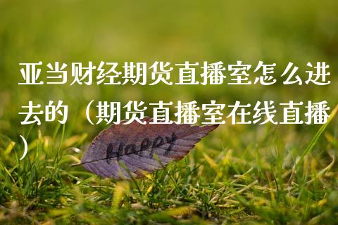 亚当财经期货直播室怎么进去的（期货直播室在线直播）_https://www.lvsezhuji.com_国际期货直播喊单_第1张