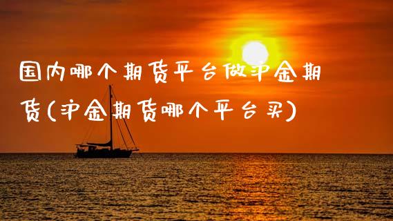 国内哪个期货平台做沪金期货(沪金期货哪个平台买)_https://www.lvsezhuji.com_原油直播喊单_第1张