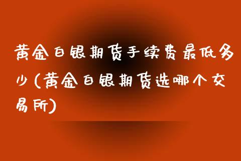 黄金白银期货手续费最低多少(黄金白银期货选哪个交易所)_https://www.lvsezhuji.com_黄金直播喊单_第1张