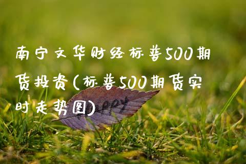 南宁文华财经标普500期货投资(标普500期货实时走势图)_https://www.lvsezhuji.com_恒指直播喊单_第1张