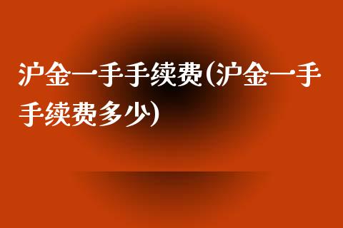 沪金一手手续费(沪金一手手续费多少)_https://www.lvsezhuji.com_原油直播喊单_第1张