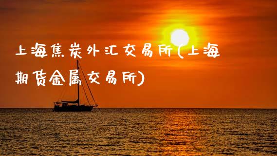 上海焦炭外汇交易所(上海期货金属交易所)_https://www.lvsezhuji.com_非农直播喊单_第1张