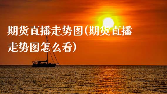 期货直播走势图(期货直播走势图怎么看)_https://www.lvsezhuji.com_原油直播喊单_第1张